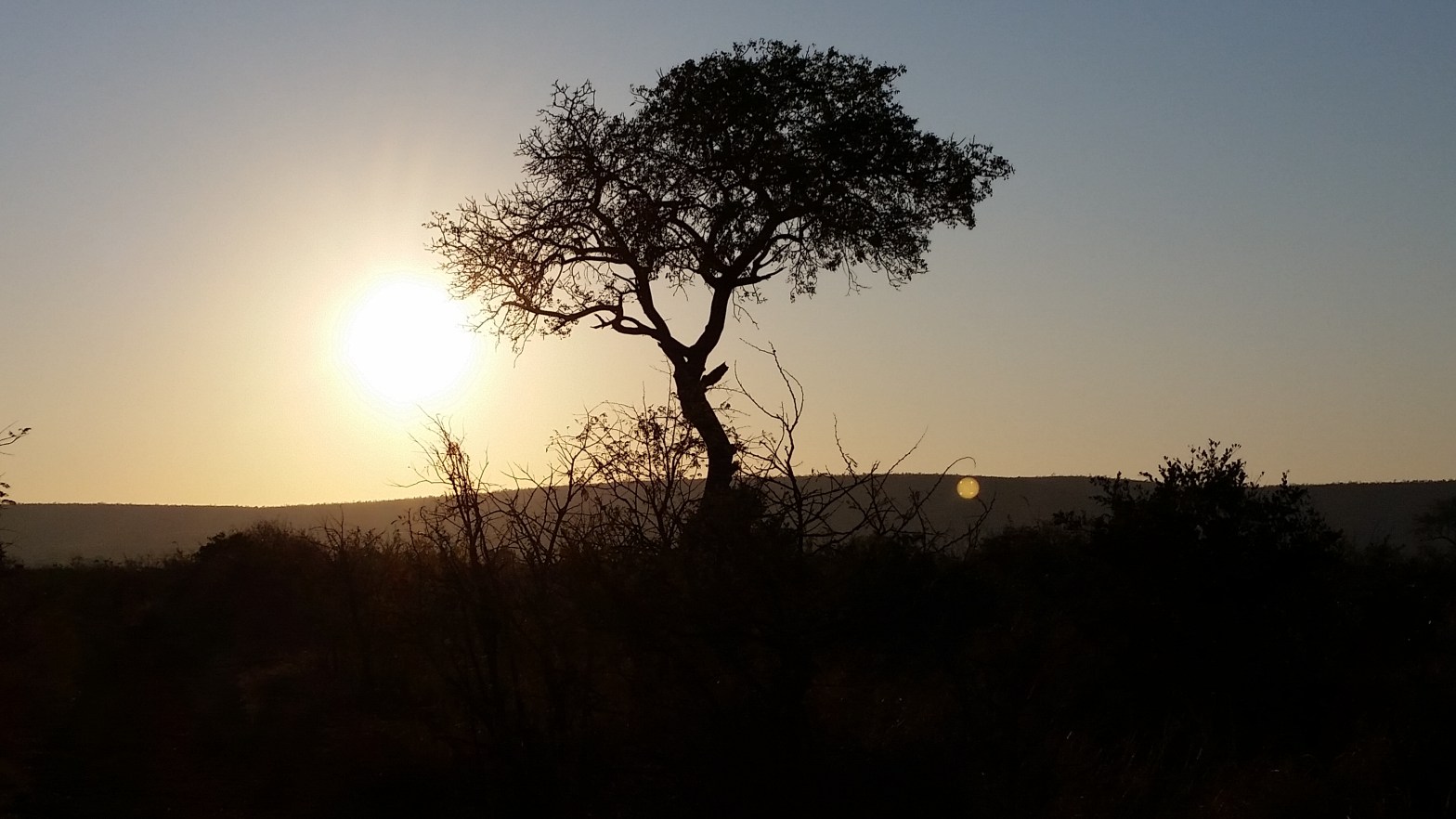 Kruger National Park, South Africa (Photo credit: Paul Blom)